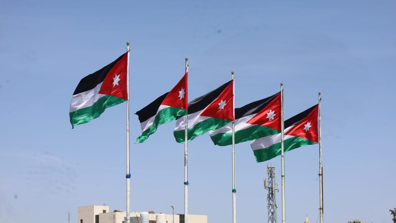 الكشافة تزيّن شوارع الرصيفة بالأعلام الأردنية  ..  فيديو 