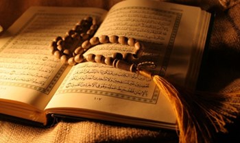 بالفيديو  ..  قصة جميلة عن الإسلام