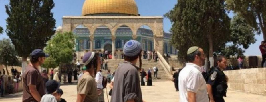 30 انتهاكًا بحق الأقصى الشهر الماضي