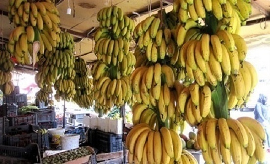 بعد "ارتفاع أسعاره" ..  حماية المستهلك تطالب السماح باستيراد الموز 