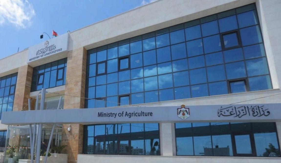 الزراعة: اطلاق رابط للتسجيل بمهرجان الزيتون الوطني