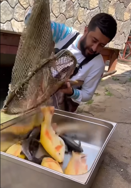 بالفيديو  ..  مراحل زراعة الأسماك