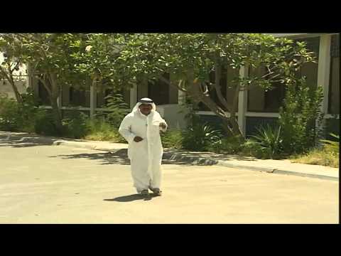 بالفيديو ..  غرابان يطاردان مواطناً إماراتياً ويحولان حياته إلى "سجن"