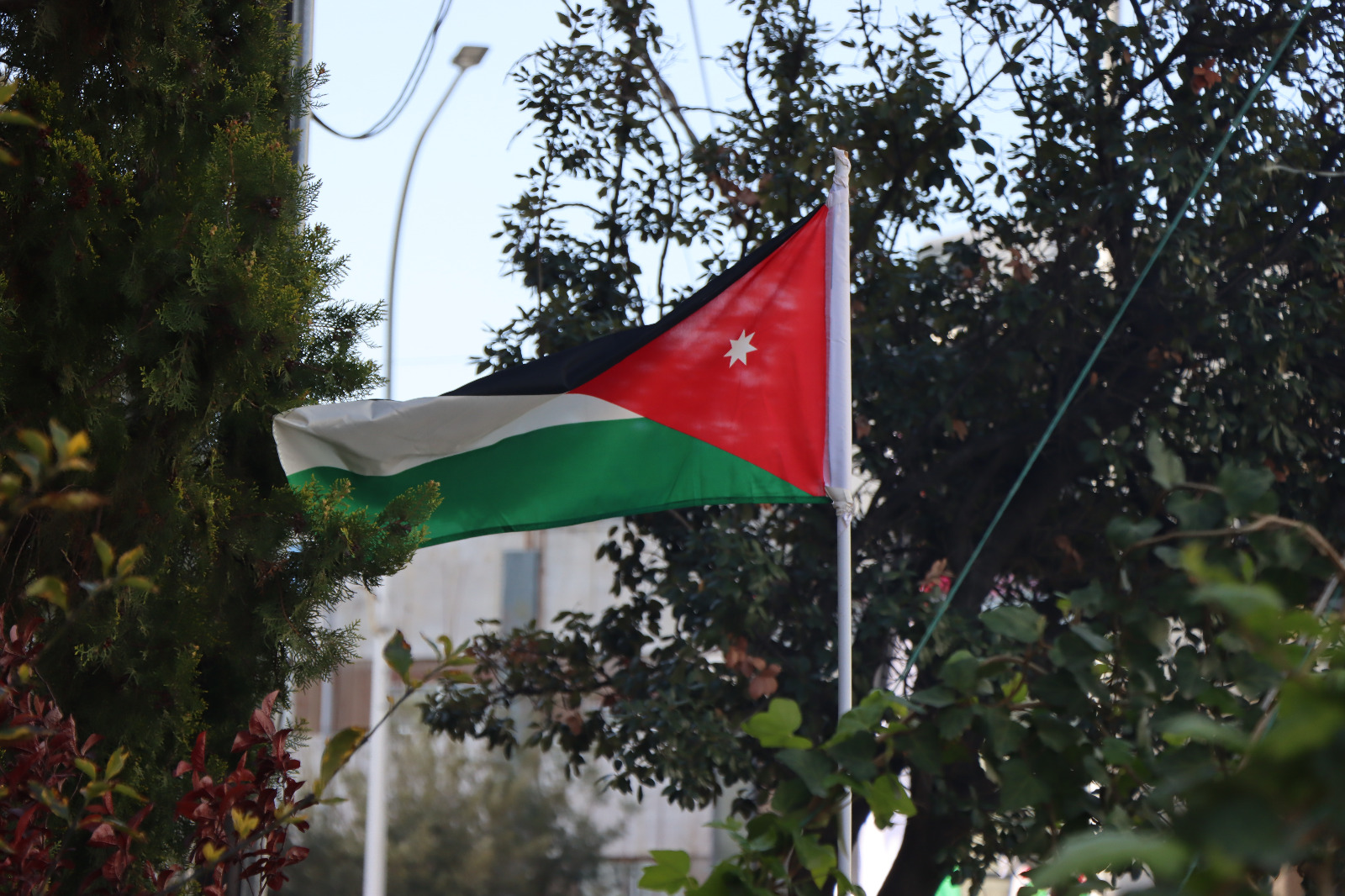 المومني: العلم الأردني رمز الهوية الوطنية وامتداد لرايات الأمة عبر التاريخ