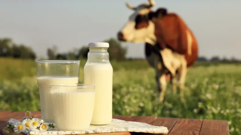 6 أنواع من الحليب أكثر فائدة للصحة والتغذية ..  تعرف عليها