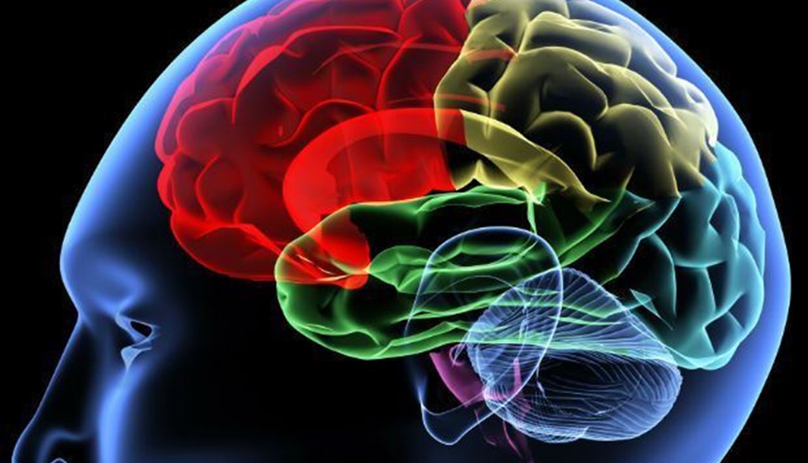 5 حلول للحفاظ على الذاكرة لأطول وقت ممكن