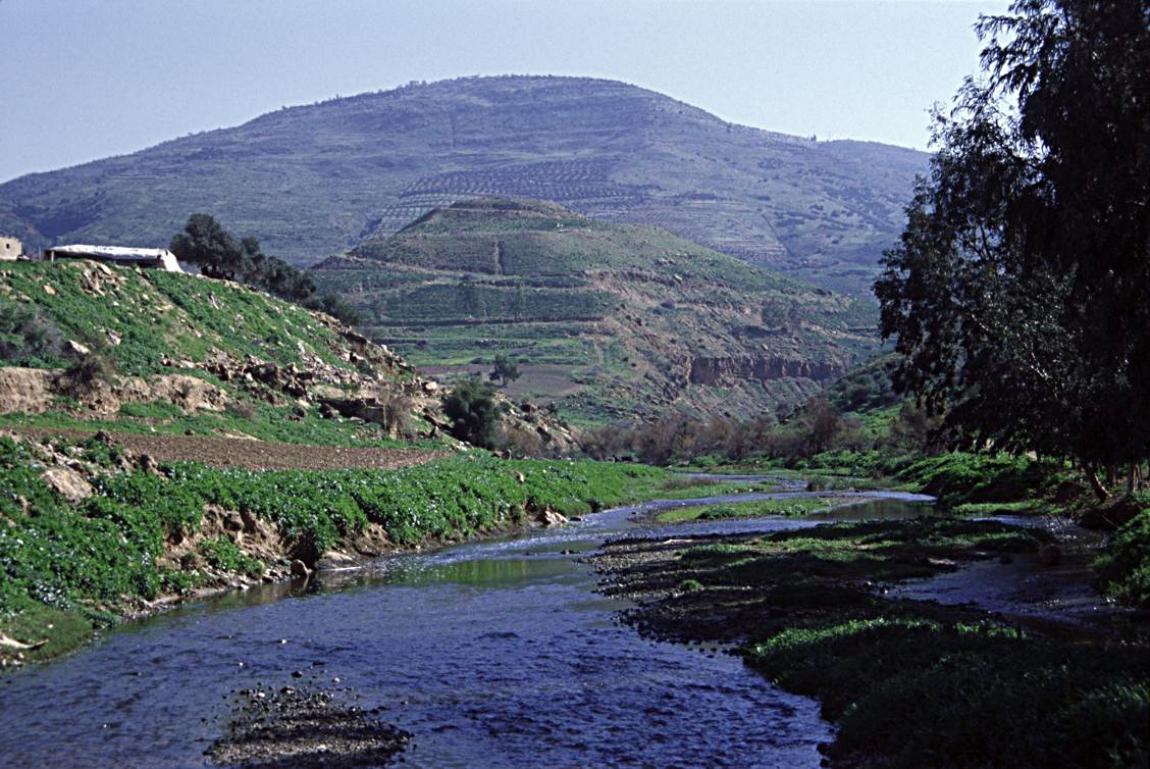 باحث: وادي الزرقاء نموذج مهم للثروة الأحفورية