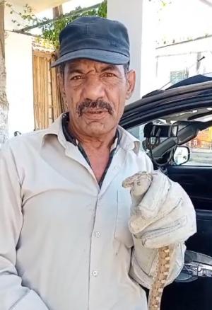 بالفيديو ..  خبير الأفاعي الصقور يكشف لسرايا عن نوع جديد من الأفاعي السامة في الأردن  ..  ويحذر من كارثة بيئية 