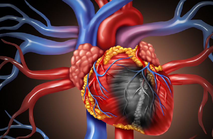 خلايا قلبية "جاهزة" ..  إنجاز علمي ياباني يعزز آفاق الطب التجديدي وعلاج قصور القلب