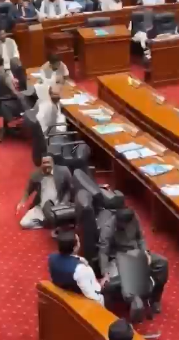 بالفيديو ..  حمار يقتحم مجلس الشيوخ الباكستاني ويتسبب بحالة من الفوضى