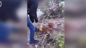 بالفيديو ..  شاب عربي يحفر قبرا لأخته ويهددها بالقتل والموت الشنيع