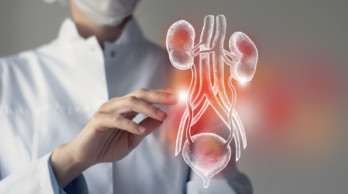 طبيبة تحذر من خطر الإصابة بأمراض الكلى دون ظهور أعراض