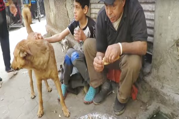 بالفيديو ..  مصري يقيم عزاءً لـ "كلبة"
