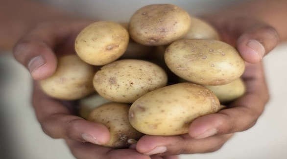 هكذا تساعد البطاطس في فقدان الوزن