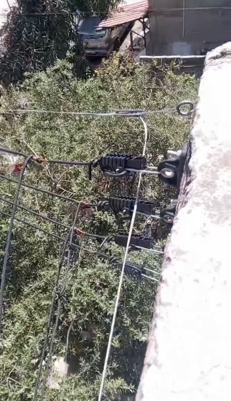 أسلاك كهرباء مكشوفة في جبل الحسين تُهدد سلامة السكان (الفيديو) .. 