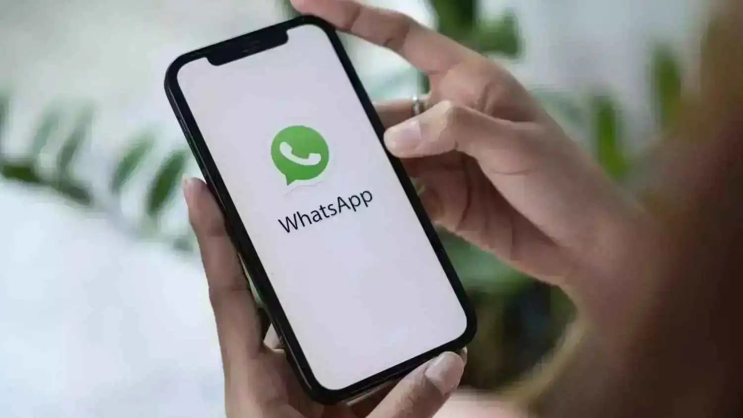 مهم لمستخدمي آيفون ..  ميزة طال انتظارها من واتساب 