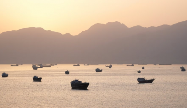 مسؤول أمريكي رفيع: بكين ترغب بإعادة فتح مضيق هرمز دون قيود أو رسوم