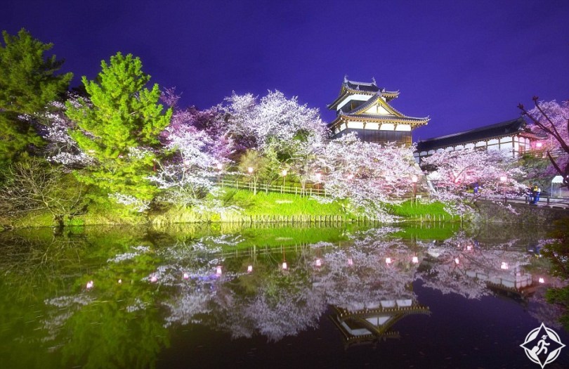 بالصور ..  أجمل مظاهر الربيع في اليابان وكوريا الجنوبية