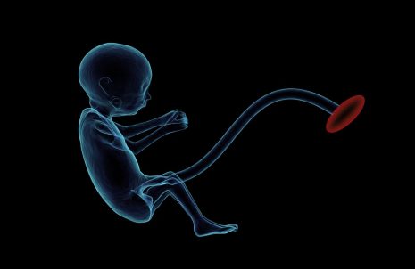 تفسير حلم رؤية اسقاط أو إجهاض الجنين في المنام لابن سيرين