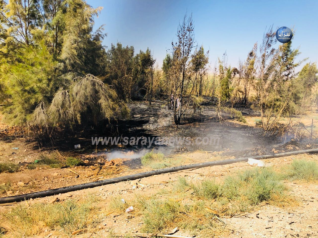بالصور ..  حريق بمنطقة جابر السرحان يلتهم اشجار حرجية تابعة لوزارة الزراعة 