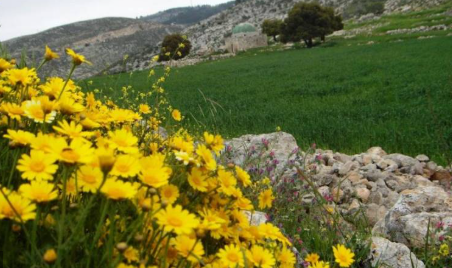 ارتفاع تدريجي على درجات الحرارة وأجواء ربيعية دافئة اعتبارًا من الاثنين