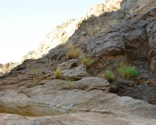 بالصور  ..  شاهد وادي مغيدد  ..  أيقونة لجمال الطبيعة