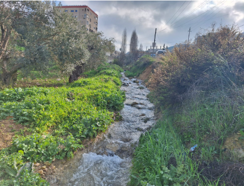  حركة نشطة ..  الأجواء الدافئة تدفع الأردنيين لمتنزهات وتلفريك عجلون