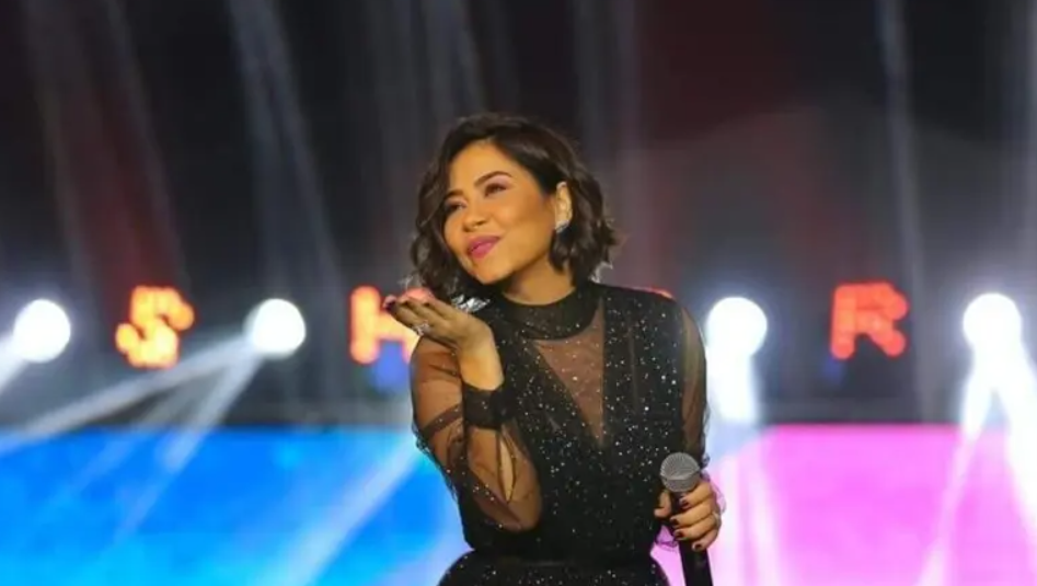 شقيق شيرين يهاجم بسمة وهبة ..  وحسام حبيب "ركب الطائرة بسببها"