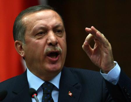 أردوغان : تركيا لن تعتذر لموسكو على إسقاط الطائرة الروسية