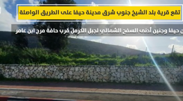 بالفيديو ..  تعرفوا على قرية بلد الشيخ المهجرة في حيفا