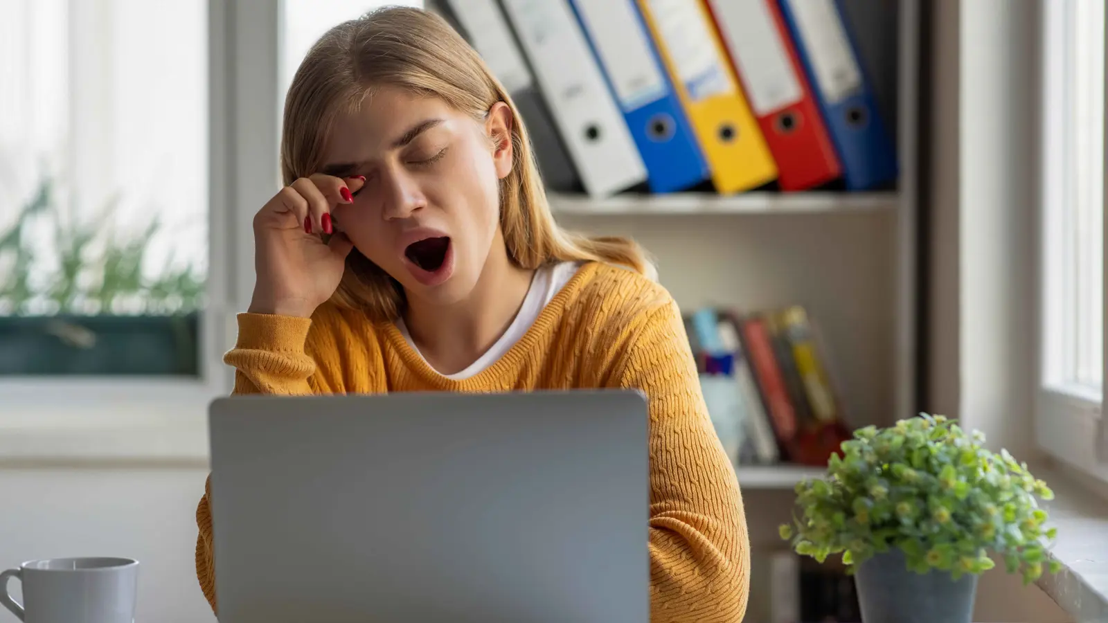 بينها البابونج وعصير الكرز ..  5 مشروبات لنوم عميق 