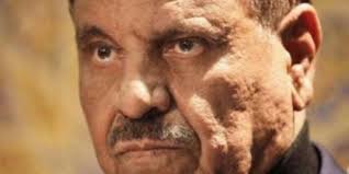 ما هو الدور الذي قام به وزير الداخلية "حماد" لمنح الجنسيات للمستثمرين ؟