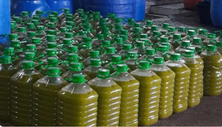 فلسطين: ضبط 300 كلغم زيت زيتون مغشوش قبل وصوله للأسواق