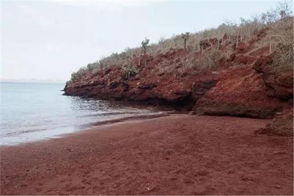 تعرف علي أغرب الشواطئ في العالم .. أبرزها المرصع بالنجوم