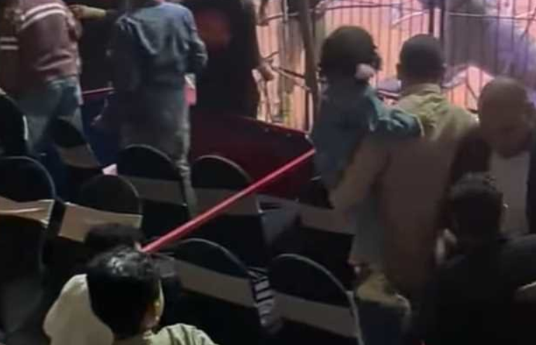 رغم بتر ذراعه ..  إخلاء سبيل مدربة أسود مصرية بعد هجوم نمر على مساعدها