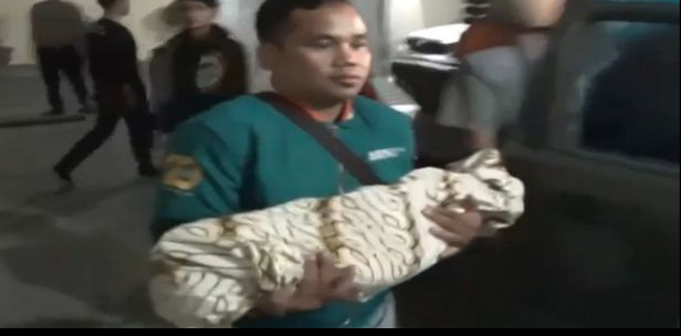 اب يتجرد من مشاعره ويضرب ابنه الرضيع حتى الموت بسبب تناوله الطعام بلطف!