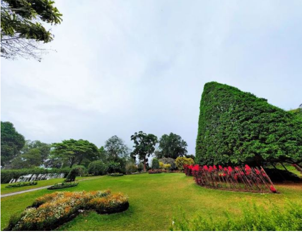  أجمل 7 نشاطات سياحية في الحديقة النباتية الملكية في كاندي سريلانكا