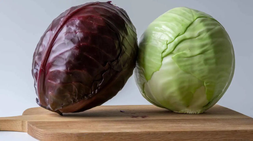 الملفوف الأحمر أم الأخضر ..  أيهما أفضل لصحة أمعائك؟