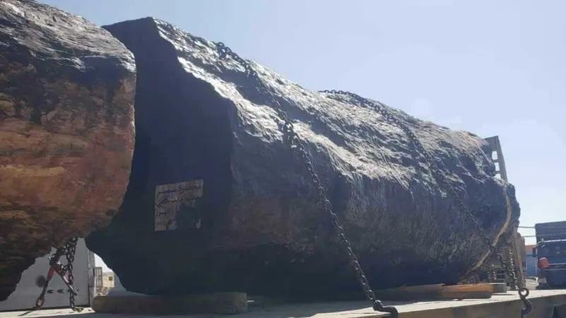 مخبأة بجذوع الأشجار ..  ضبط 200 كلغ مخدرات باليمن