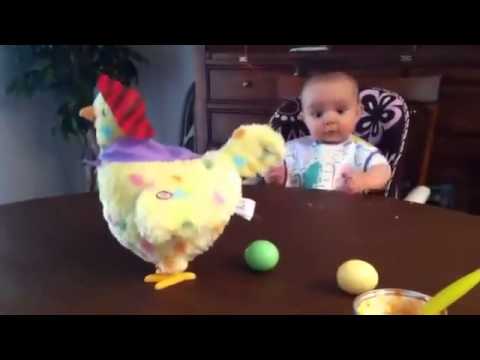 فيديو طريف لطفل يتفاجأ بدجاجة تضع بيض ملون