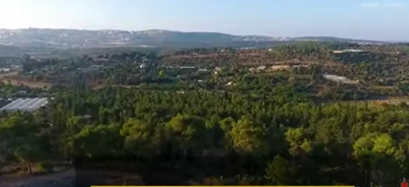 بالفيدديو ..  قرية صفورية- الناصرة