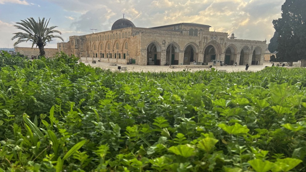 "أوقاف القدس": الجماهير ستزحف للمسجد الأقصى في رمضان ومنعهم سيخلق توتراً 