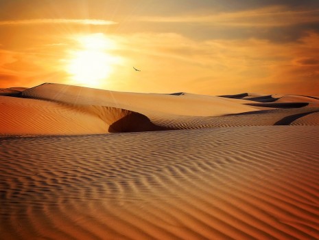 تفسير حلم رؤية الصحراء أو الرمال في المنام