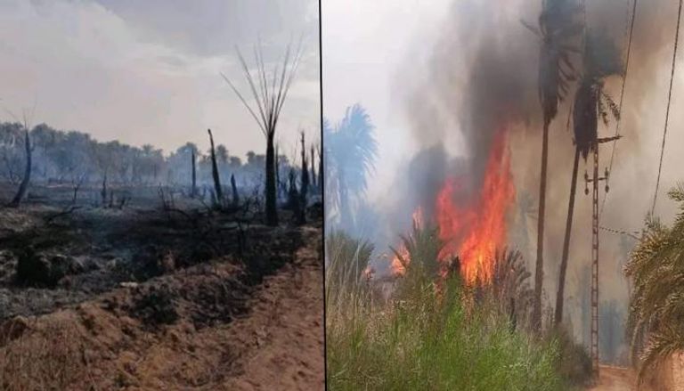 حرائق في الجزائر ..  النيران تطول 4 ولايات جنوبية