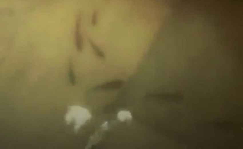 فيديو صادم  ..  أسماك تسبح في غرف العناية المركزة بالهند  