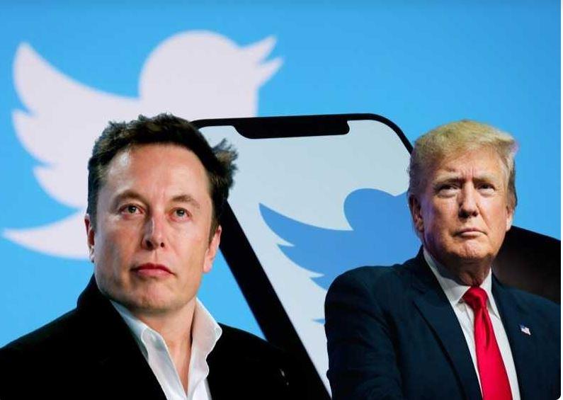 إيلون ماسك يطلب من مستخدمي تويتر التصويت على إعادة تفعيل حساب ترامب