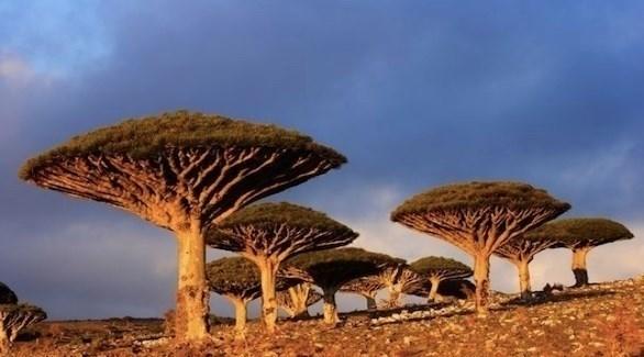 تعرف على البقعة الأكثر غرابة على الأرض