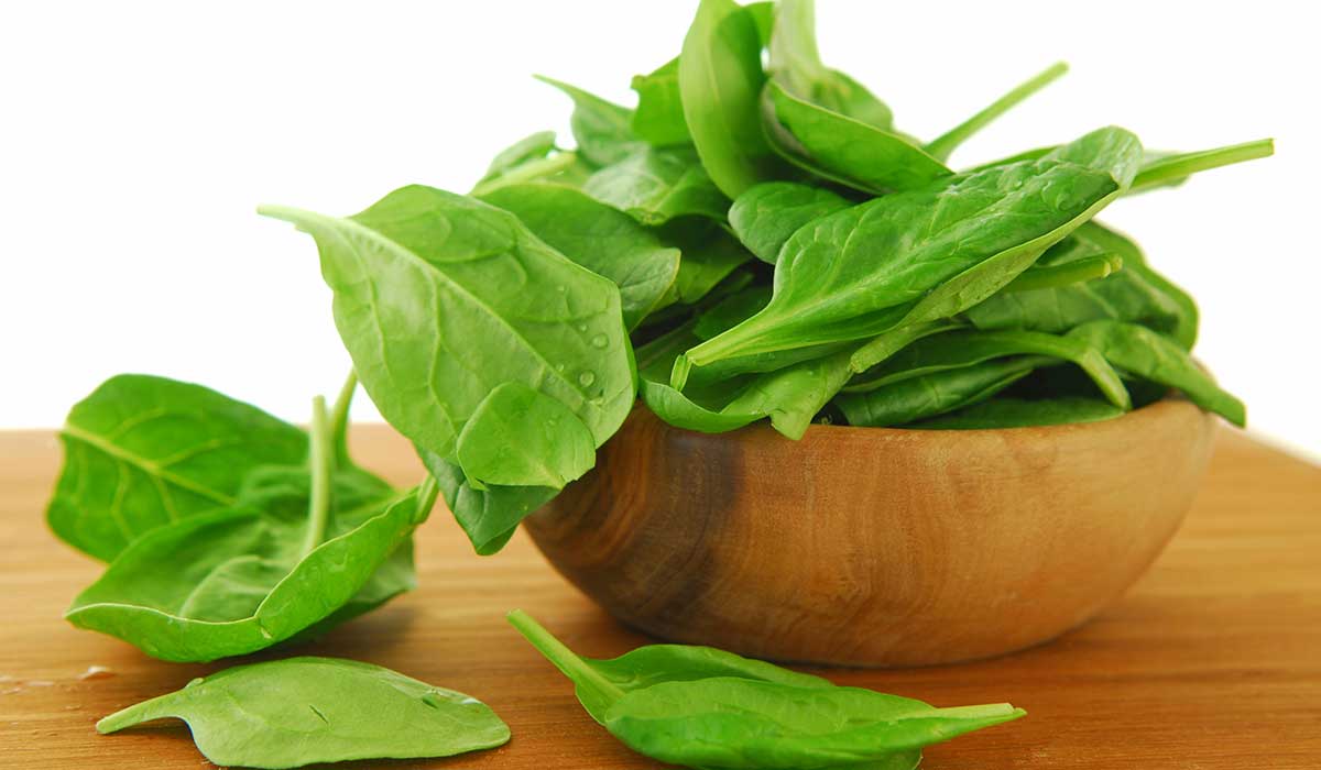 فوائد الجرجير للصحة وللوقاية من الأمراض وقيمته الغذائية