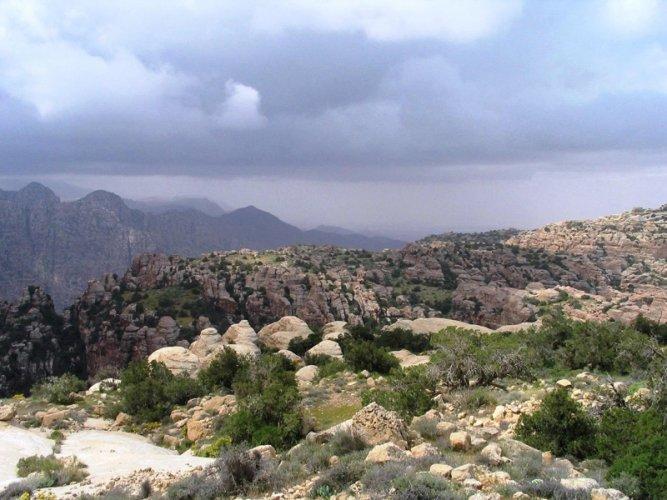 الحكومة تكلف وزير البيئة لتعديل حدود ضانا
