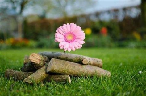 روح التسامح عند المسلمين